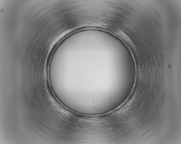 X0000059231028200510141032