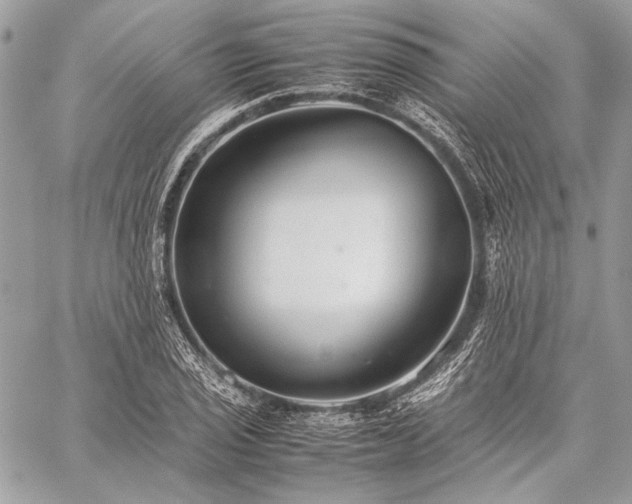 X0000059231029200510141032