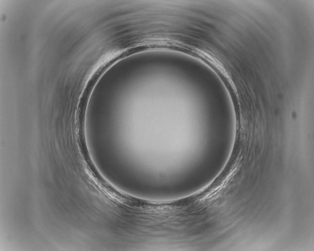 X0000059231045200510141032