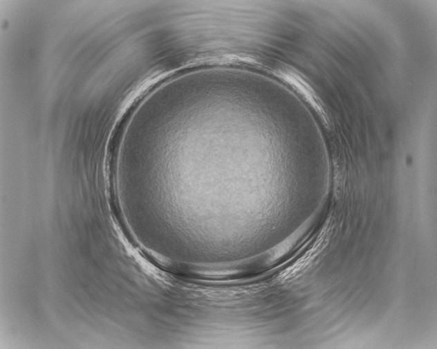 X0000059231046200510141032