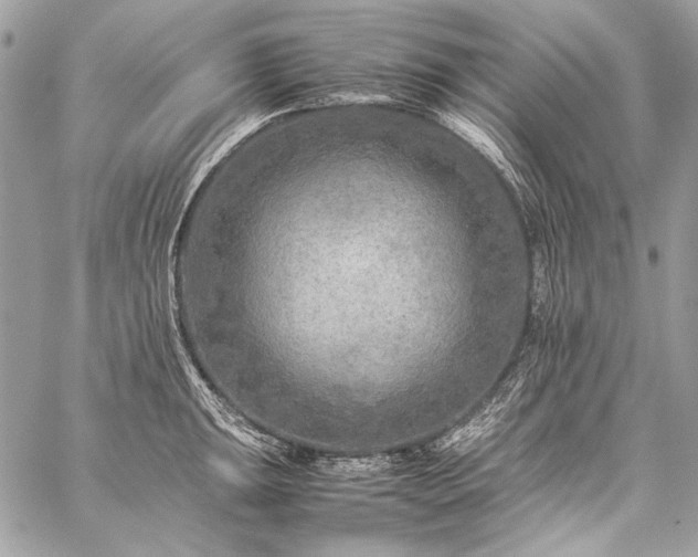 X0000059231047200510141032