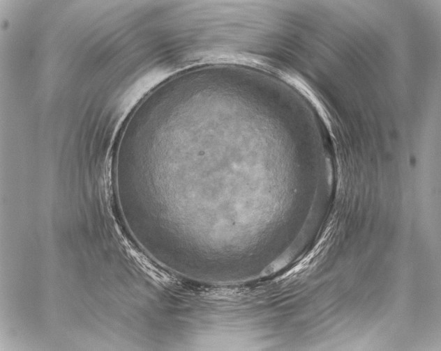 X0000059231048200510141032