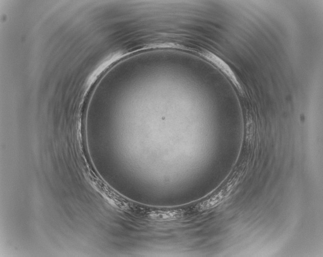 X0000059231051200510141032