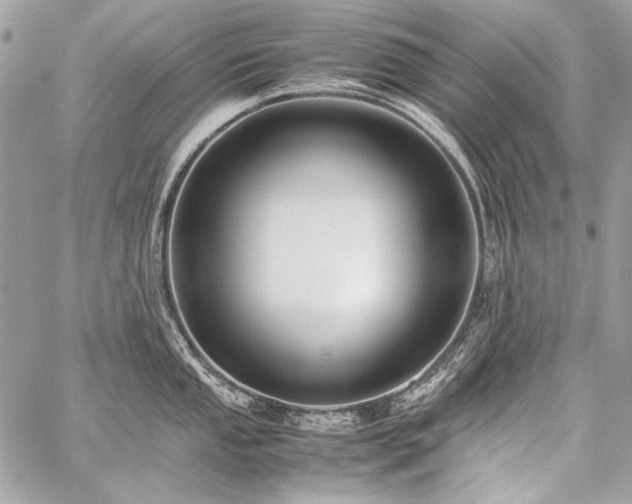 X0000059231053200510141032