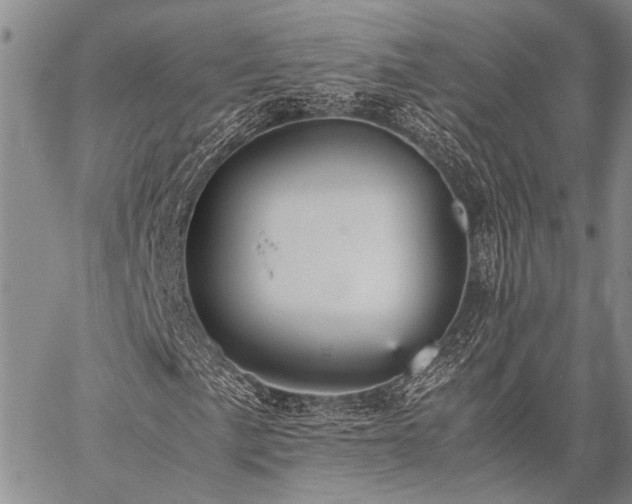 X0000059231057200510141032