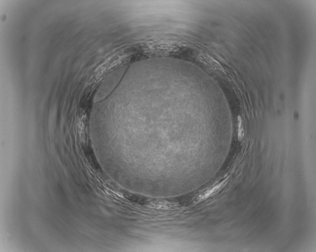 X0000059231059200510141032