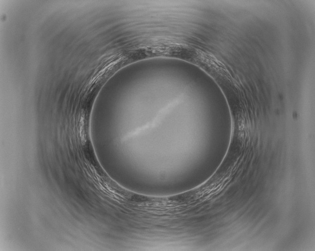 X0000059231060200510141032