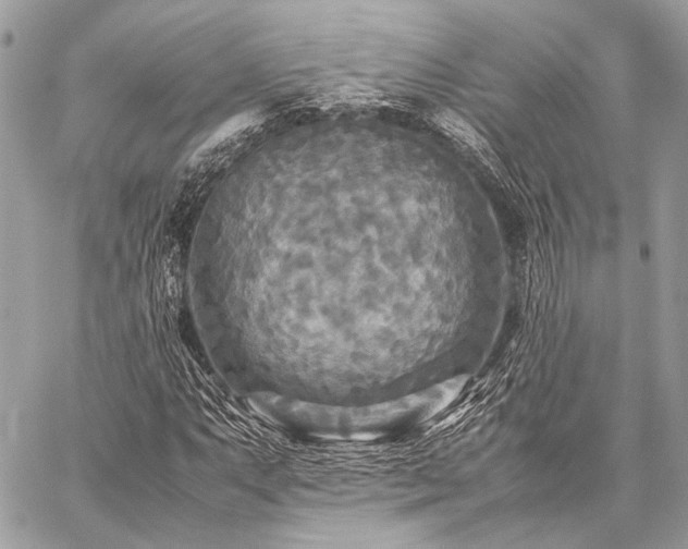 X0000059231063200510141032