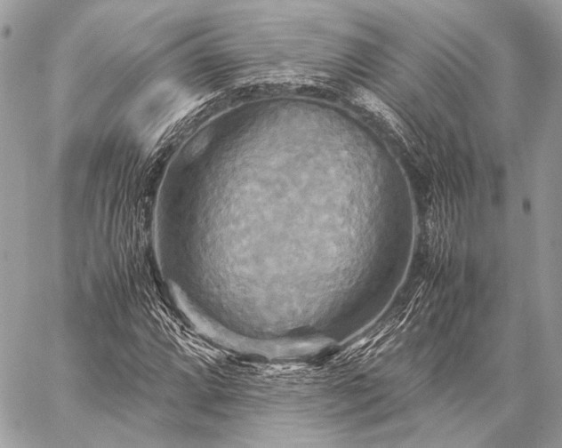 X0000059231064200510141032