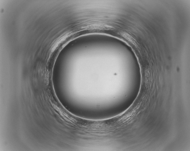 X0000059231067200510141032