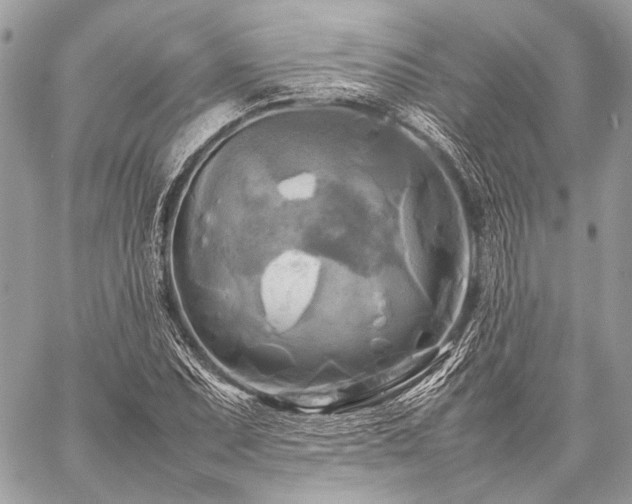 X0000059231071200510141032