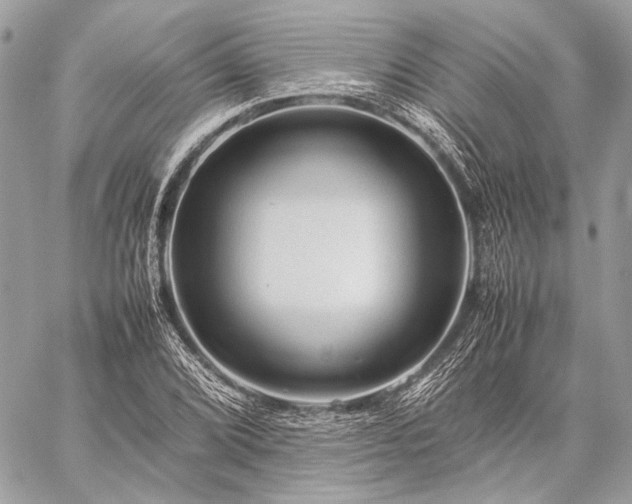 X0000059231072200510141032