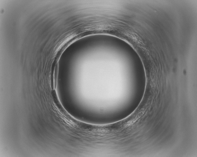 X0000059231073200510141032