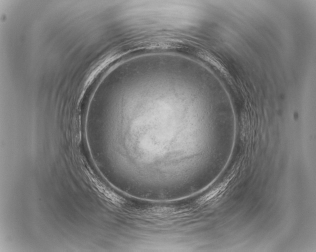 X0000059231075200510141031