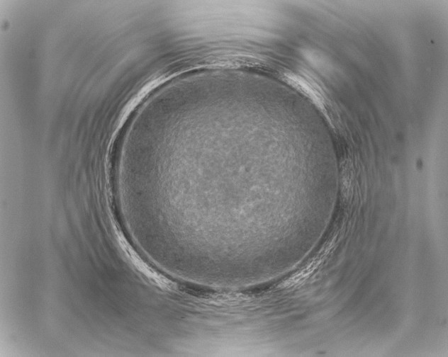 X0000059231091200510141031