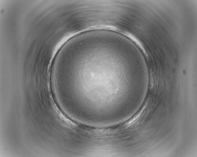 X0000059231102200510141031