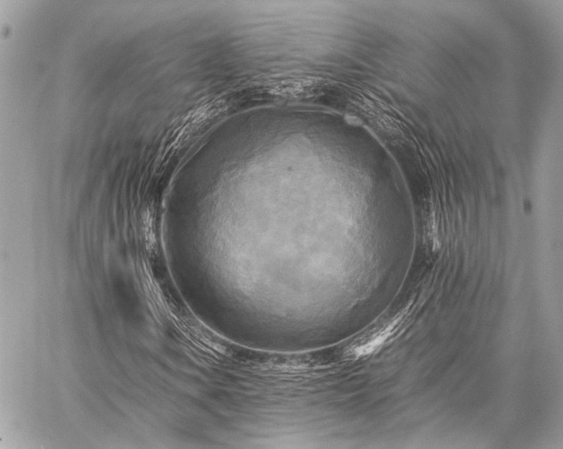 X0000059231106200510141030
