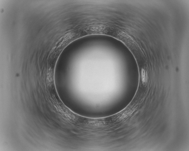 X0000059231107200510141030