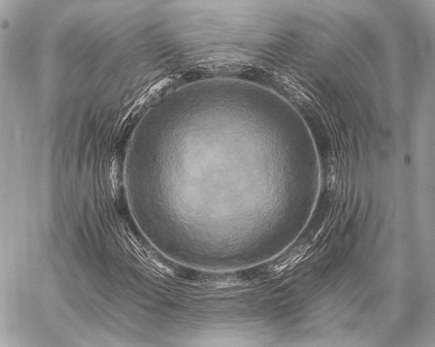 X0000059231108200510141030