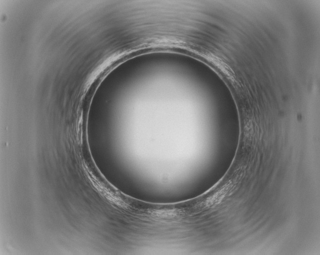 X0000059231126200510141031