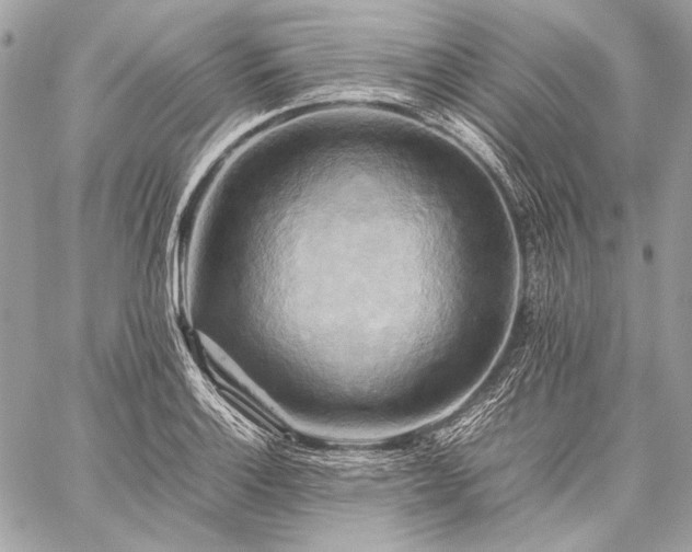 X0000059231132200510141031