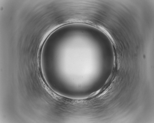 X0000059231148200510141031