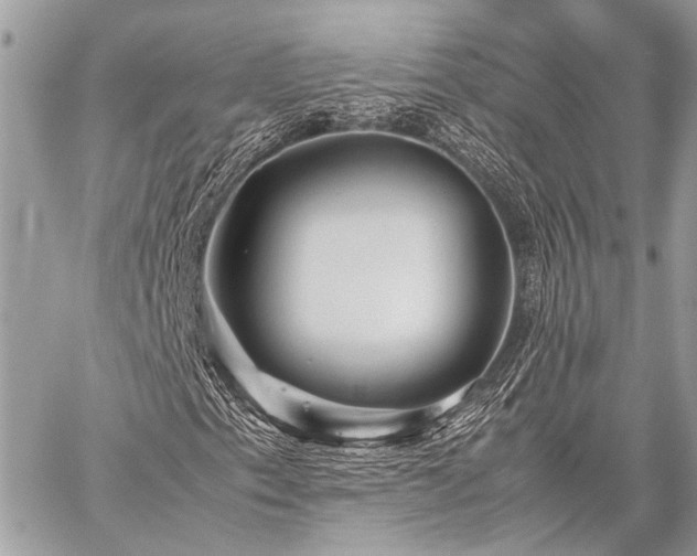 X0000059231153200510141030