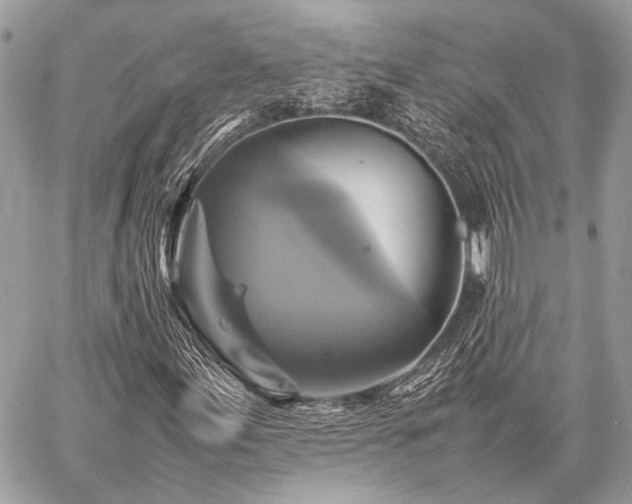 X0000059231155200510141030