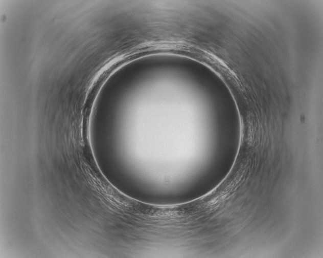 X0000059231174200510141030
