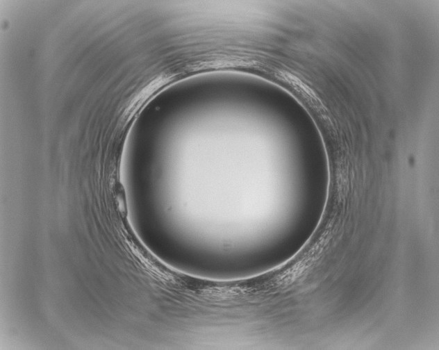 X0000059231185200510141030