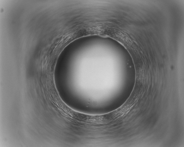 X0000059231201200510141029