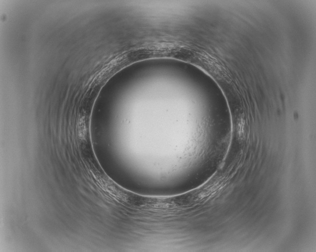 X0000059231204200510141029