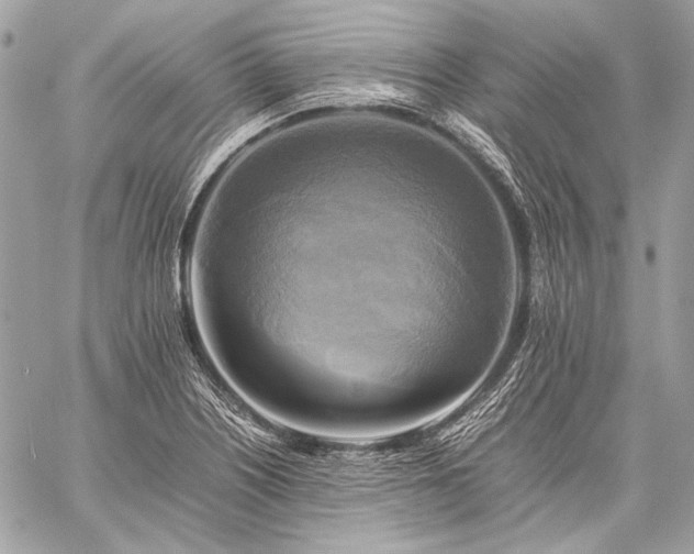X0000059231226200510141029