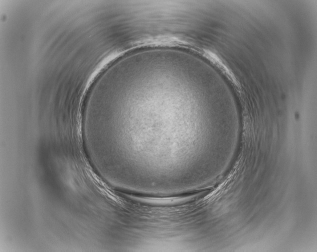 X0000059231232200510141029
