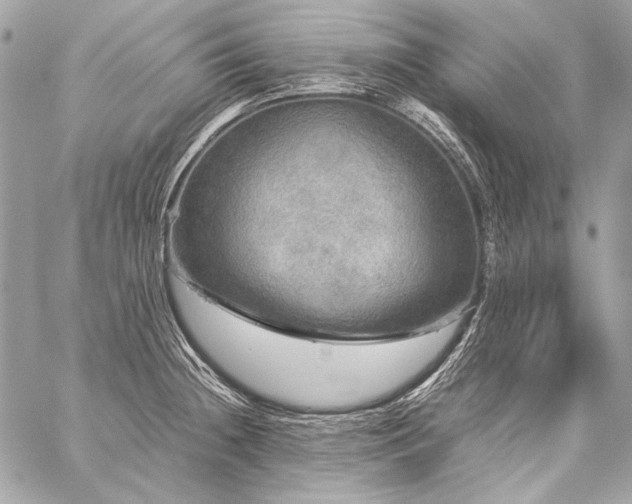 X0000059231236200510141029
