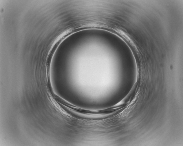 X0000059231238200510141029