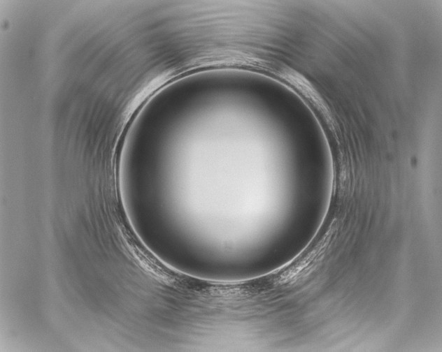 X0000059231242200510141029