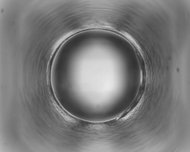 X0000059231246200510141029