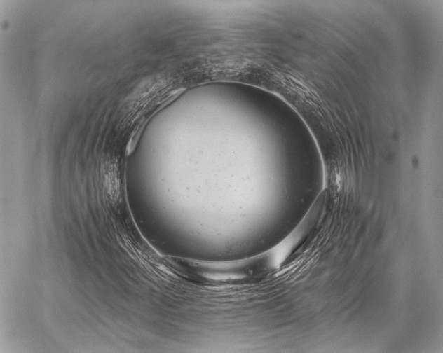 X0000059231252200510141029