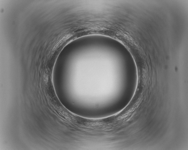 X0000059231257200510141029