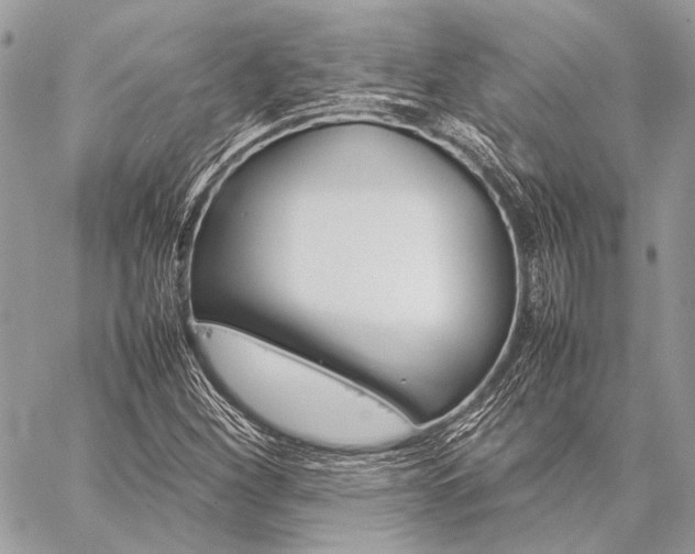 X0000059231260200510141028
