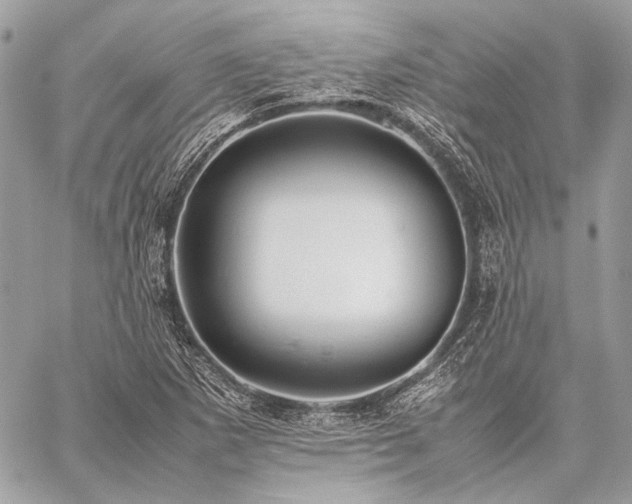X0000059231265200510141028