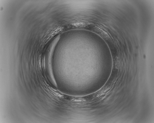 X0000059231298200510141027