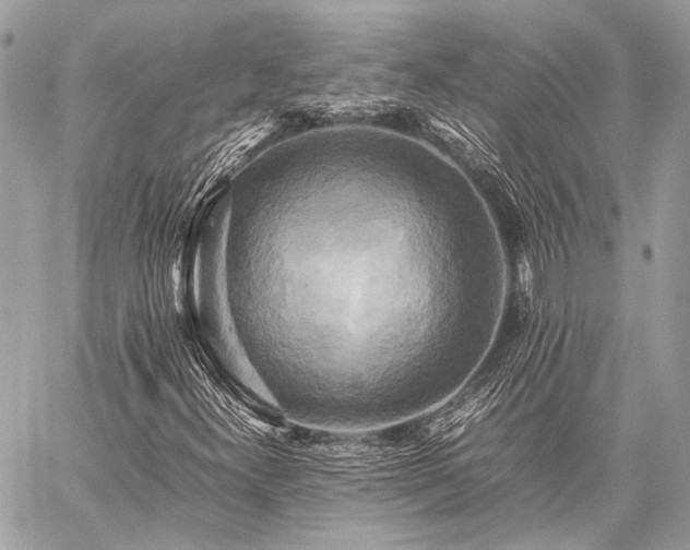 X0000059231300200510141027