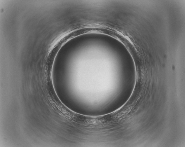X0000059231311200510141027
