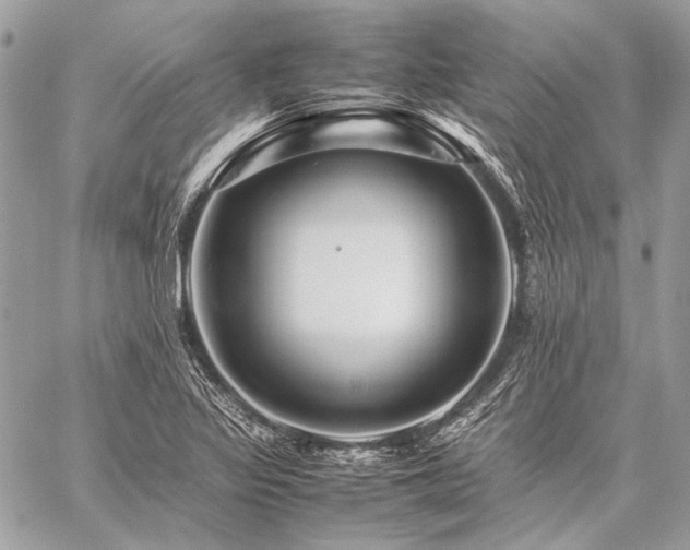 X0000059231317200510141027