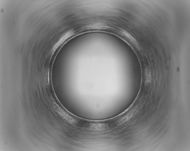 X0000059231322200510141028