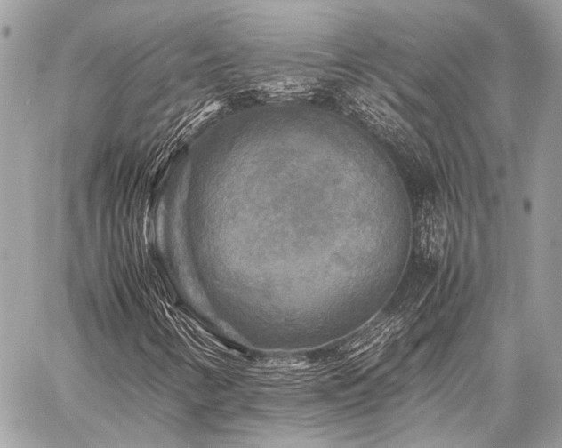 X0000059231346200510141027