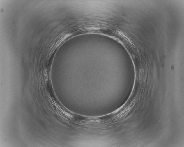 X0000059231353200510141027