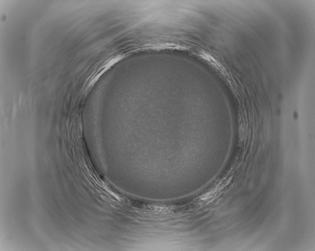 X0000059231361200510141027